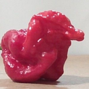 Meet your Posher, Keith